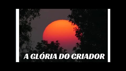 A GLÓRIA DO CRIADOR.#shorts