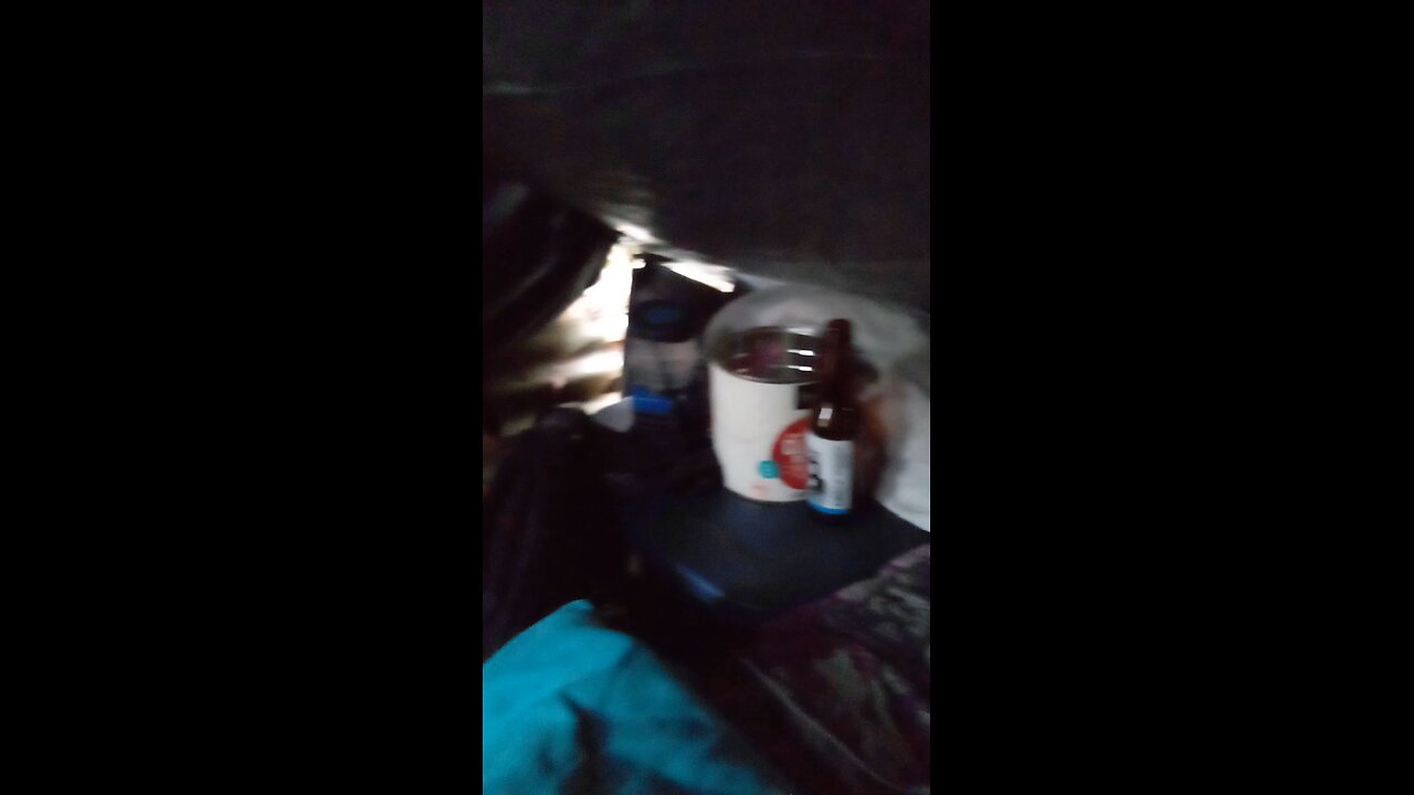Homeless with a border collie
