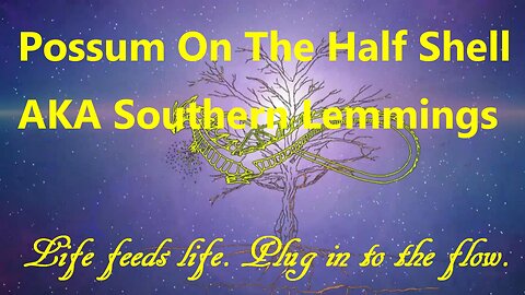Possum On The Half Shell AKA Southern Lemmings