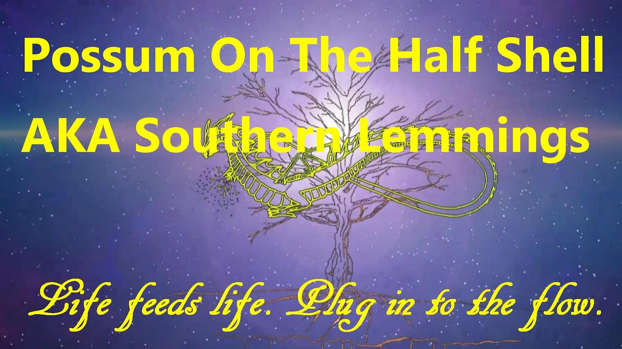 Possum On The Half Shell AKA Southern Lemmings