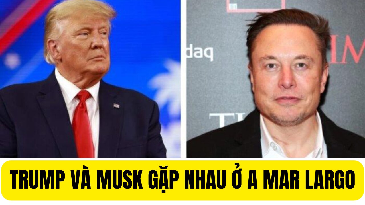 ₫iểm Báo 12/3/2024 Trump Và Musk Gặp Nhau Ở Mar A Largo