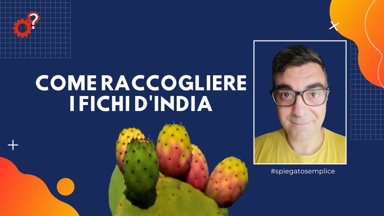 Come raccogliere i Fichi d'India | Spiegato Semplice