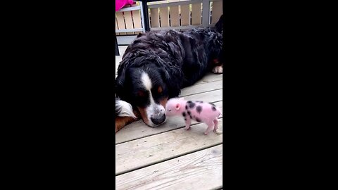 cuty really