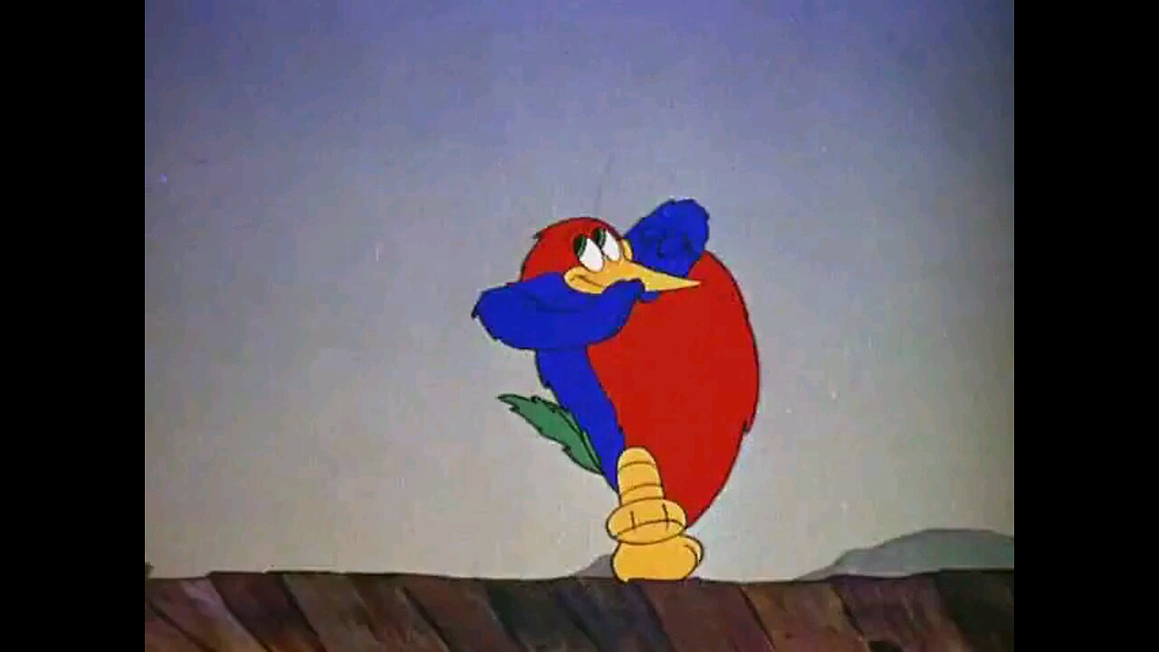 andy panda ___ pica pau ataca novamente...