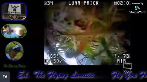 Playing with live flying.
