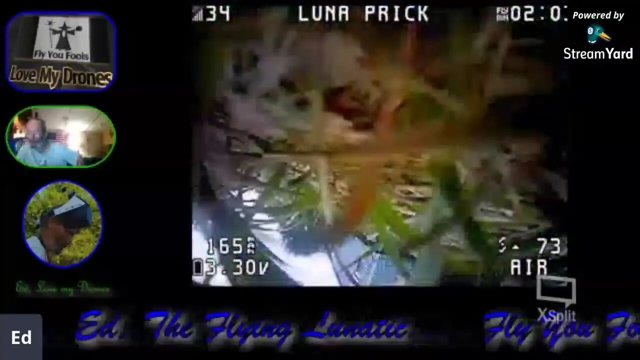 Playing with live flying.