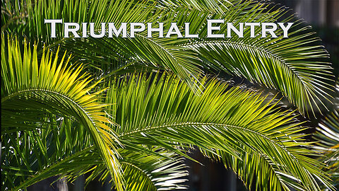 The Real Triumphal Entry