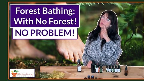 Forest Bathing... with NO FOREST!!!