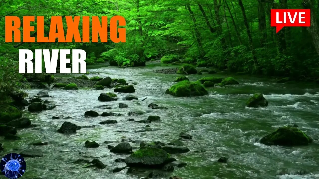 🔴Lush Green Forest River with Relaxing Sounds | Gentle River Sounds, Nature Sounds, White Noise