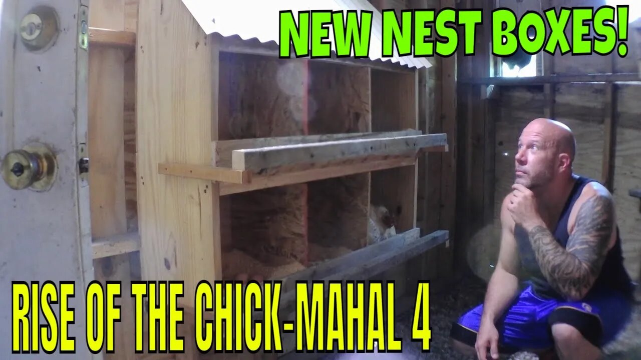 Chicken Coop Nest Boxes Made From Scrap Lumber/Rise Of The Chick-Mahal