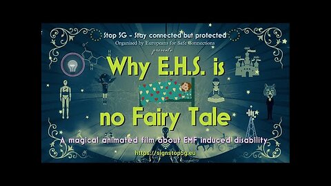 Why EHS is no Fairy Tale