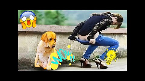 Funniest Animals 2023 😂 Funny Cats and Dogs 🐱🐶 | Funny Animal Videos 2023