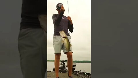 One of the BEST Ways to Catch Bass in the Summer #shorts #fishing #6thsensefishing #6thsense