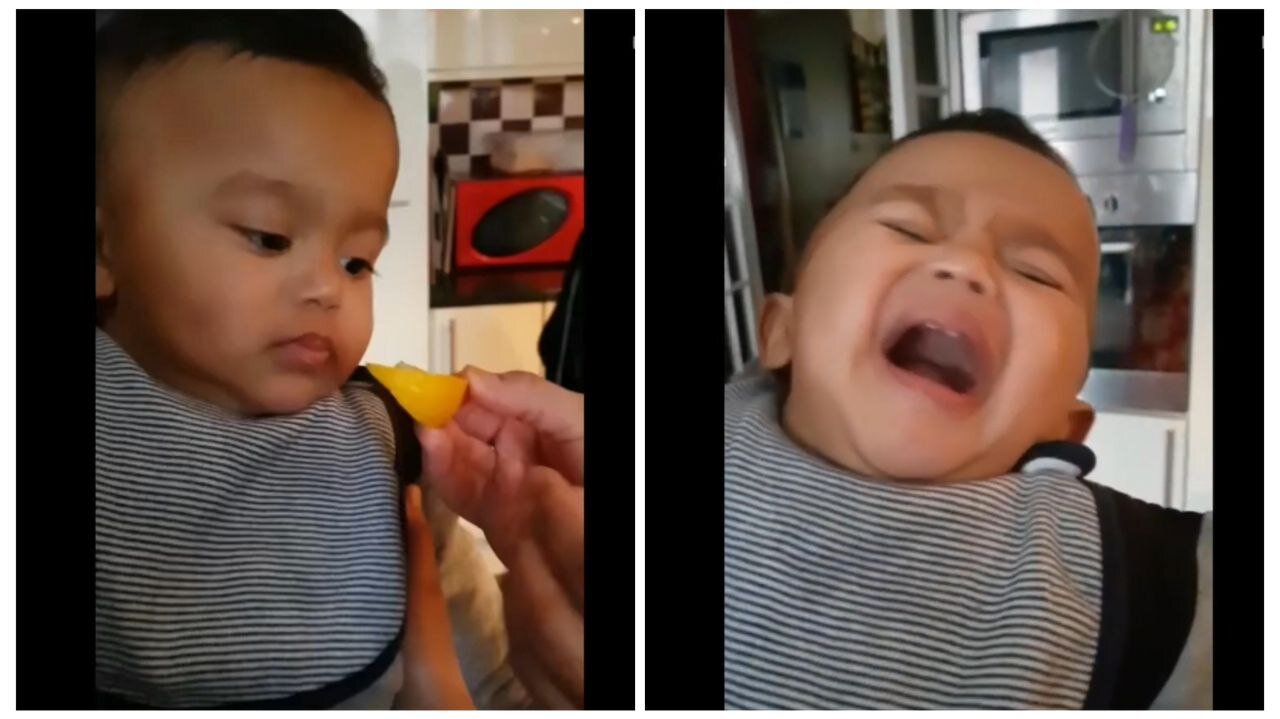 The priceless reaction of a child to a newly tasted lemon