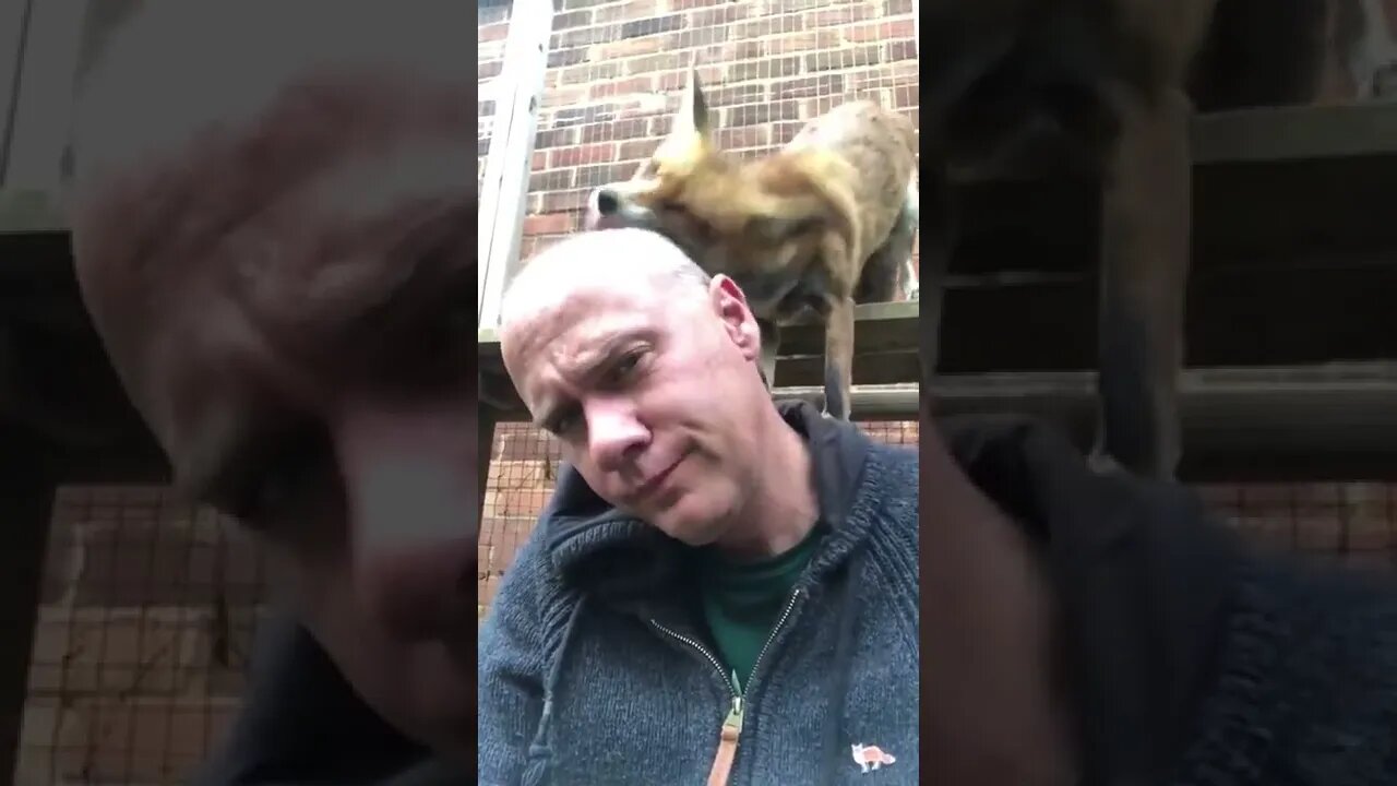 I have licked you... Now I own you!