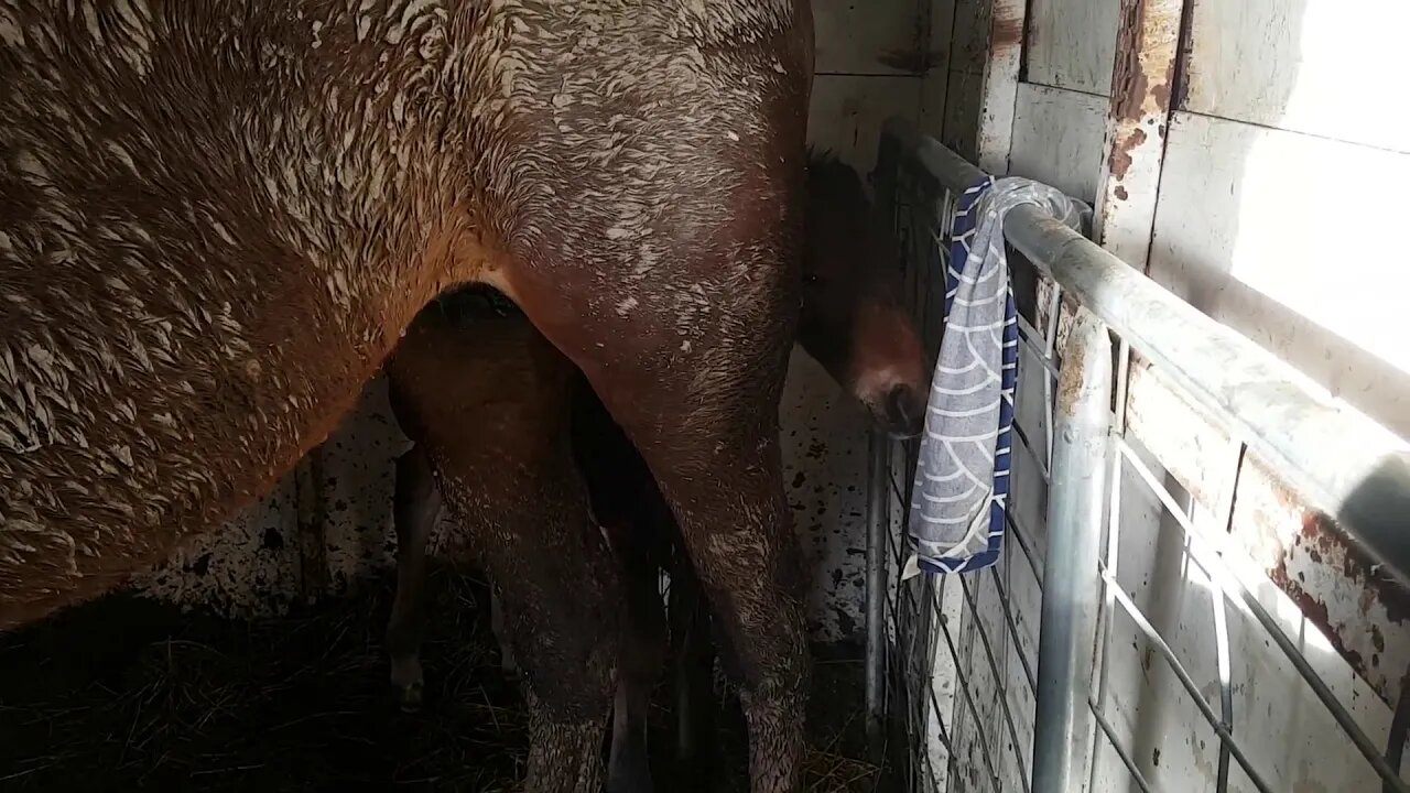 20180620_074935.mp4
