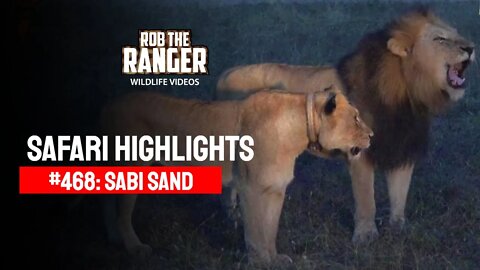 Safari Highlights #468: 04 - 07 April 2017 | Sabi Sand Nature Reserve | Latest Wildlife Sightings