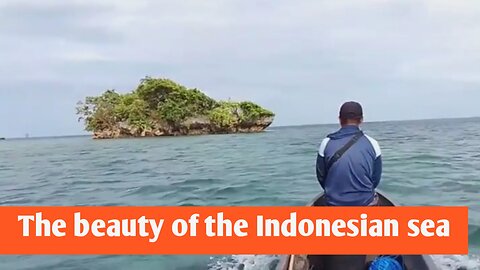 The beauty of the Indonesian sea