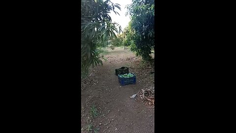 લઈ લો...