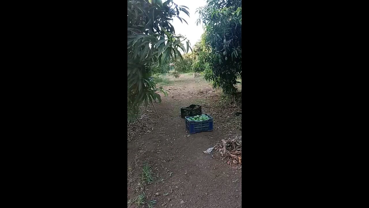 લઈ લો...