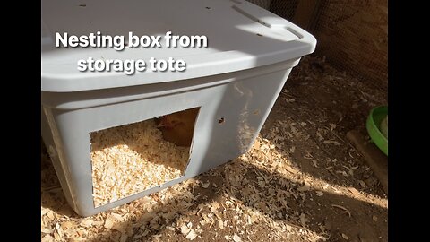 Easy DIY nesting box out of a tote