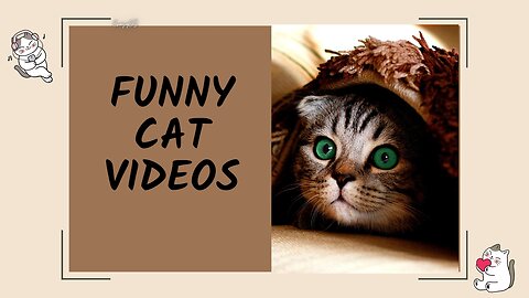 Cute and Funny Cat Videos