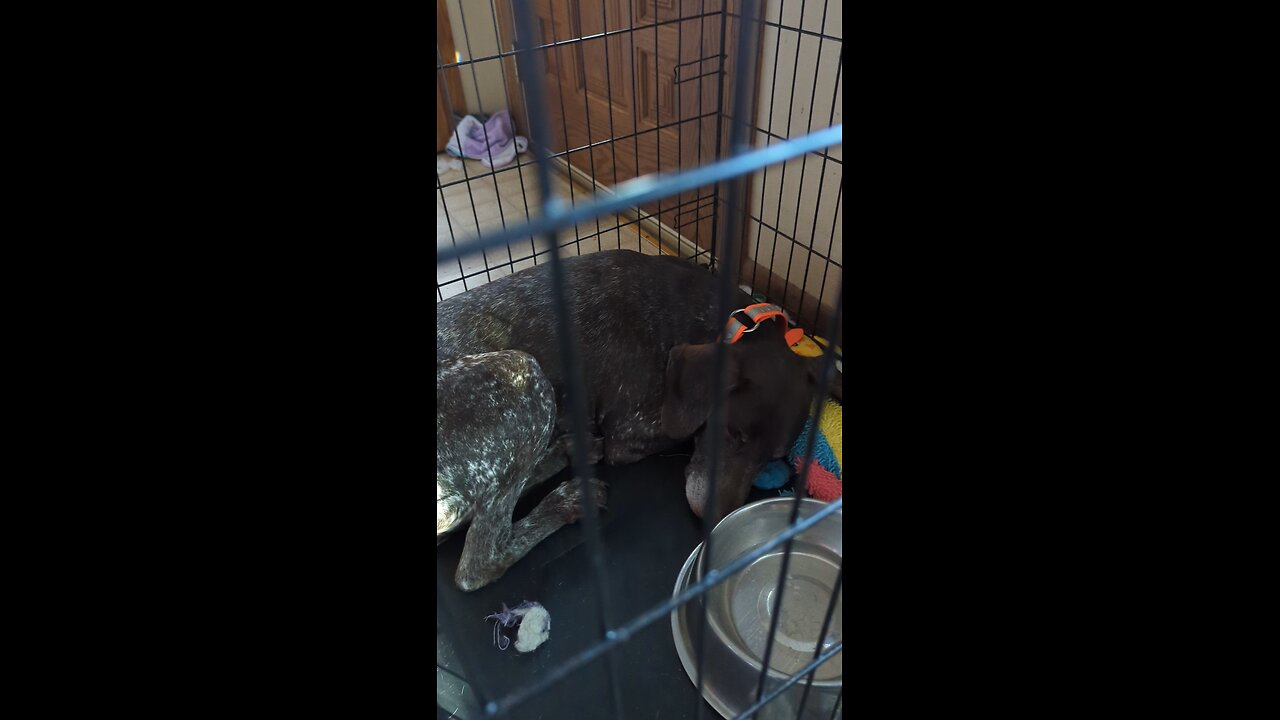 Deep Sleep