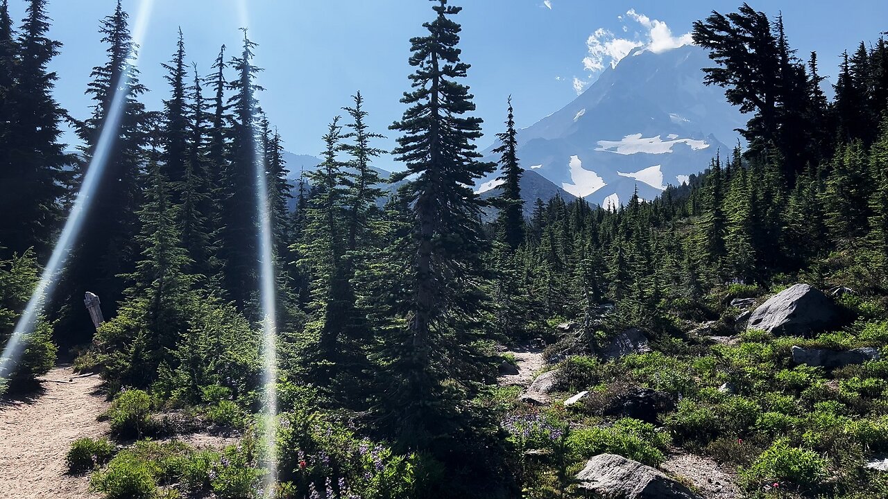 Arriving @ GORGEOUS McNeil Point Trail Junction! | Timberline Mount Hood Wilderness | 4K | Oregon