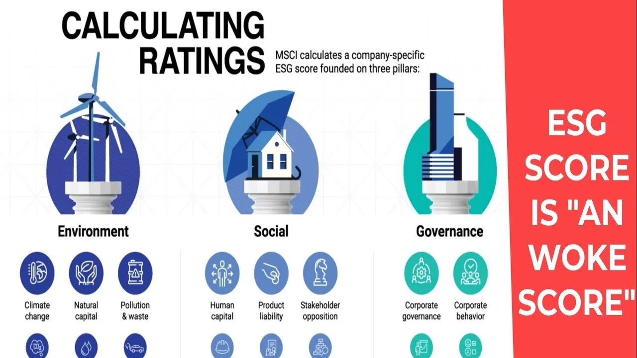 Proponent of ESG is angry that the ESG score is ineffective