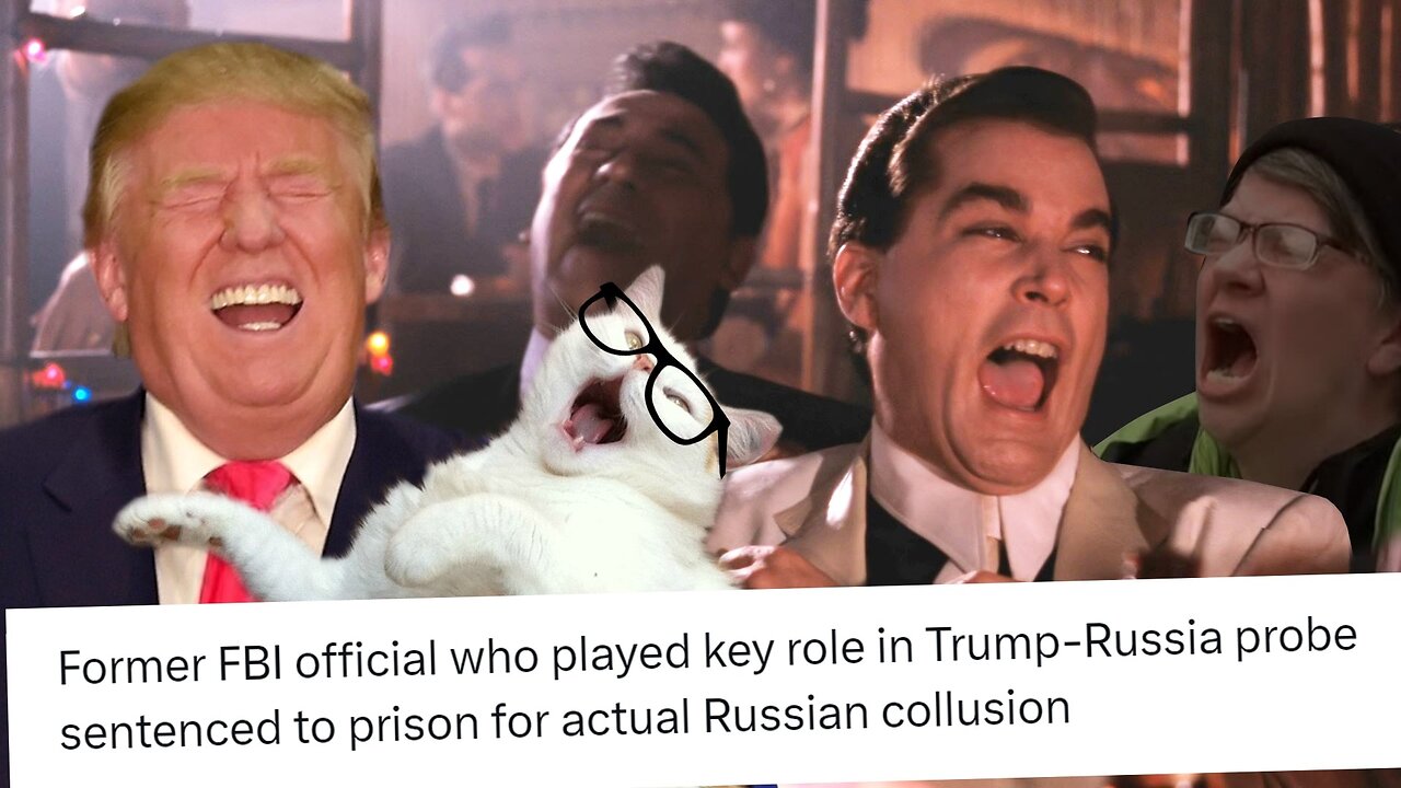 FBI SPECIAL AGENT🎭🤝🕵️♂️FIND GUILTY COLLUDING WITH RUSSIAN OLIGARCHS🕵️♂️🧰👨💼🐚💫