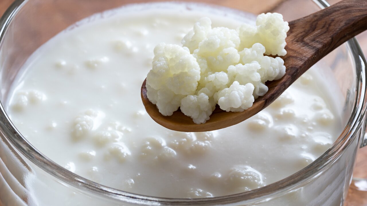 What is Kefir?