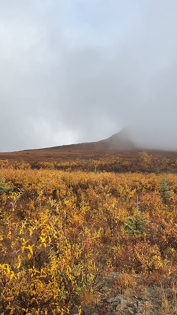 Top of the World Highway Alaska