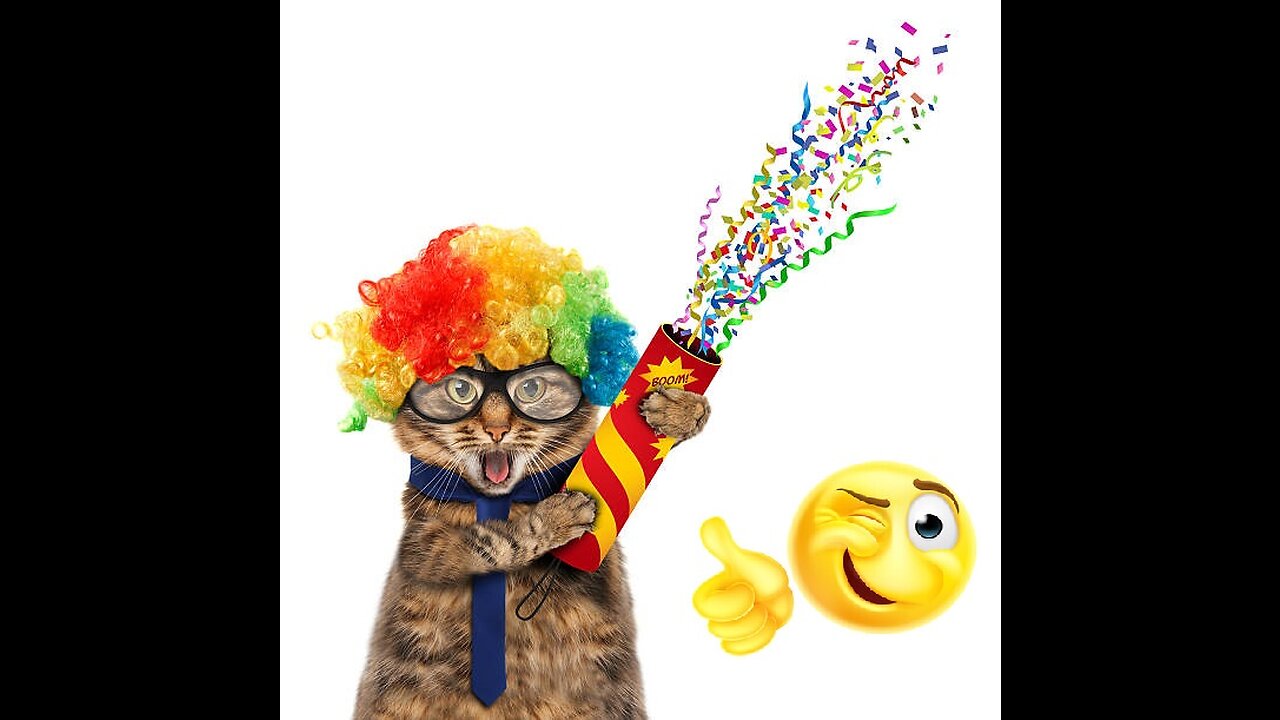 New π Funniest Cats and Dogs Videos πΊπΆ Funny Animals π