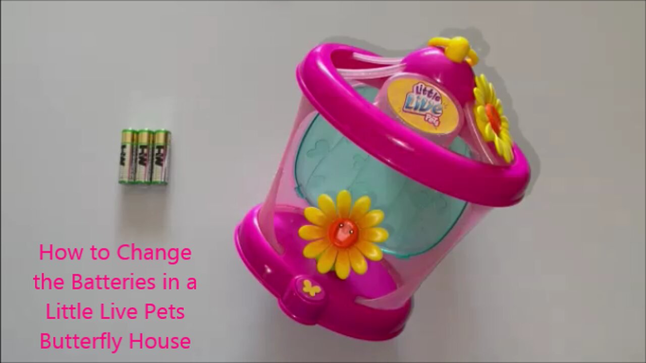 How to Replace the Batteries in a Little Live Pets Butterfly House