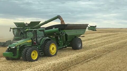 Back and Forth and Back and Forth / Day 24 Highwood Montana Wheat Harvest (August 12)