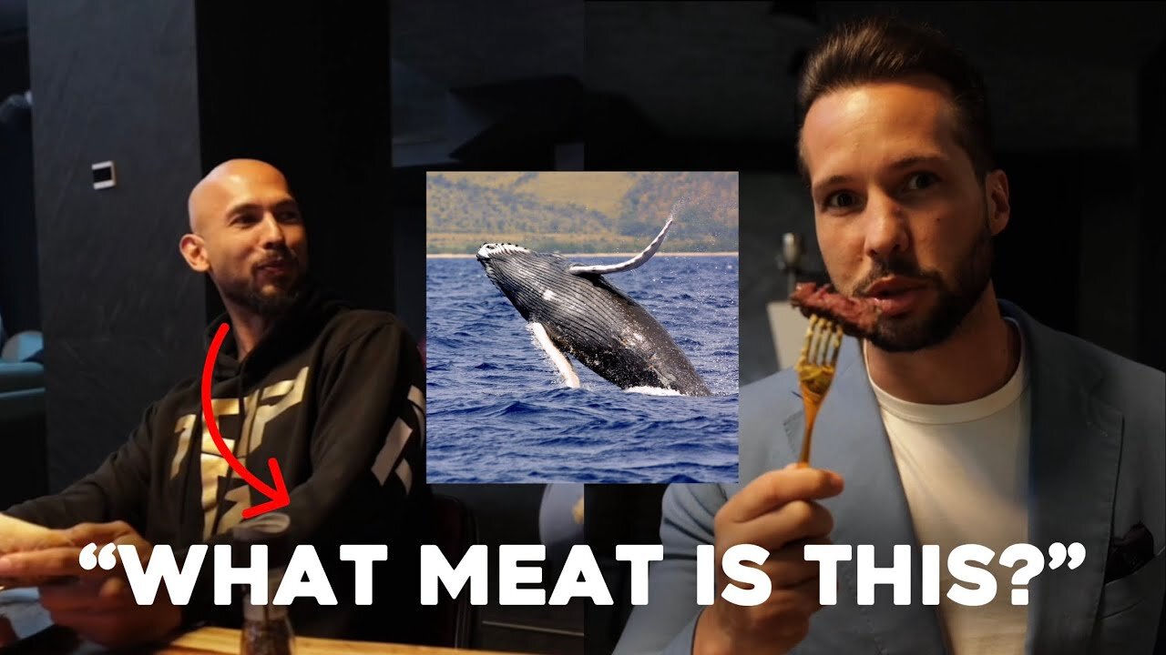 Tristan Tate FORCES Andrew To Eat Suspicious WHALE Meat.