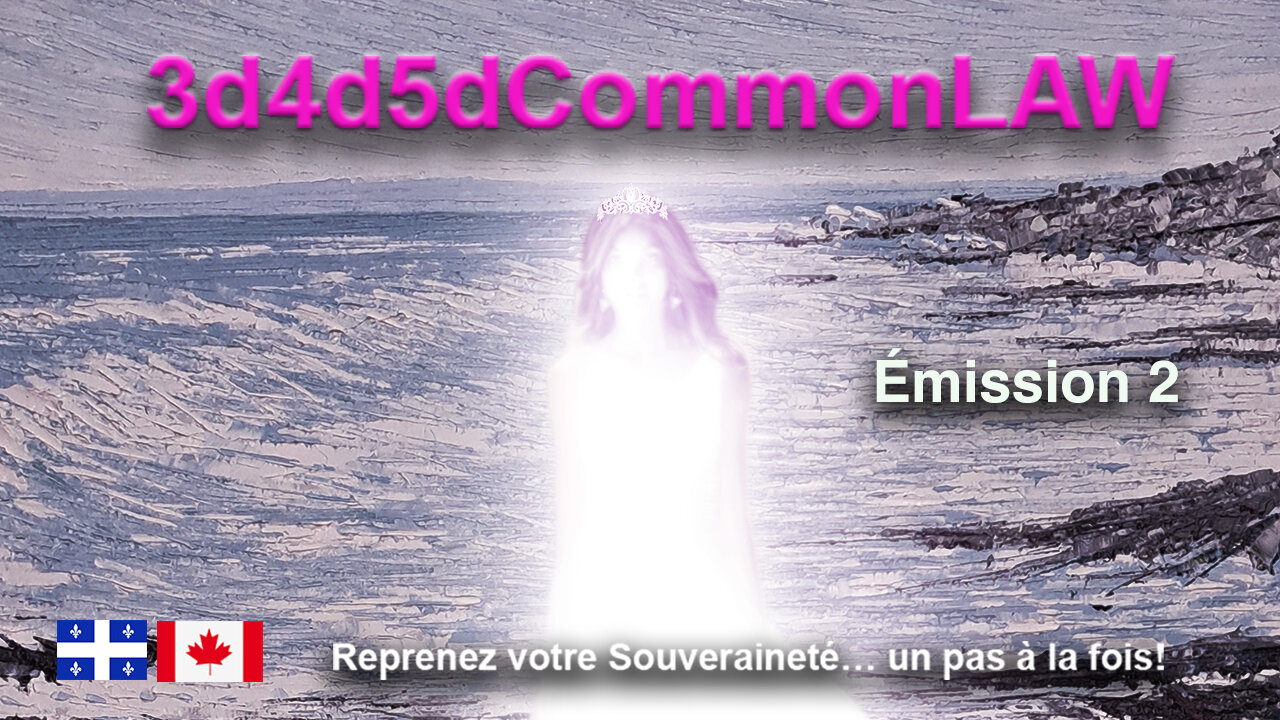 3d4d5dCommonLAW Émission 2