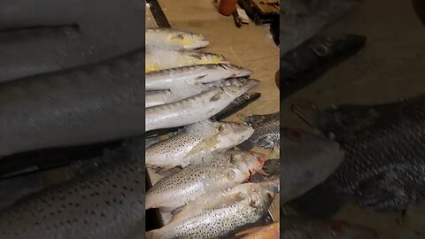 Pakistan Biggest Fish Market Karachi Fishery & Moosa Colony #shorts #short #fishing #youtubeshorts