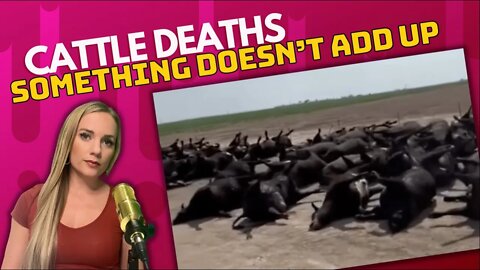 Thousands of Cattle Dead; Key Details the Media's Ignoring