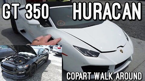 Lamborghini Huracan CHEAP!, Ford Mustang GT350 , BMW, Flood Cars Copart Walk Around