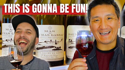 Searching for GREAT French RED WINE in the Languedoc