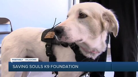 Saving Souls K9 Foundation