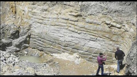 A Hidden Remnant of Disaster