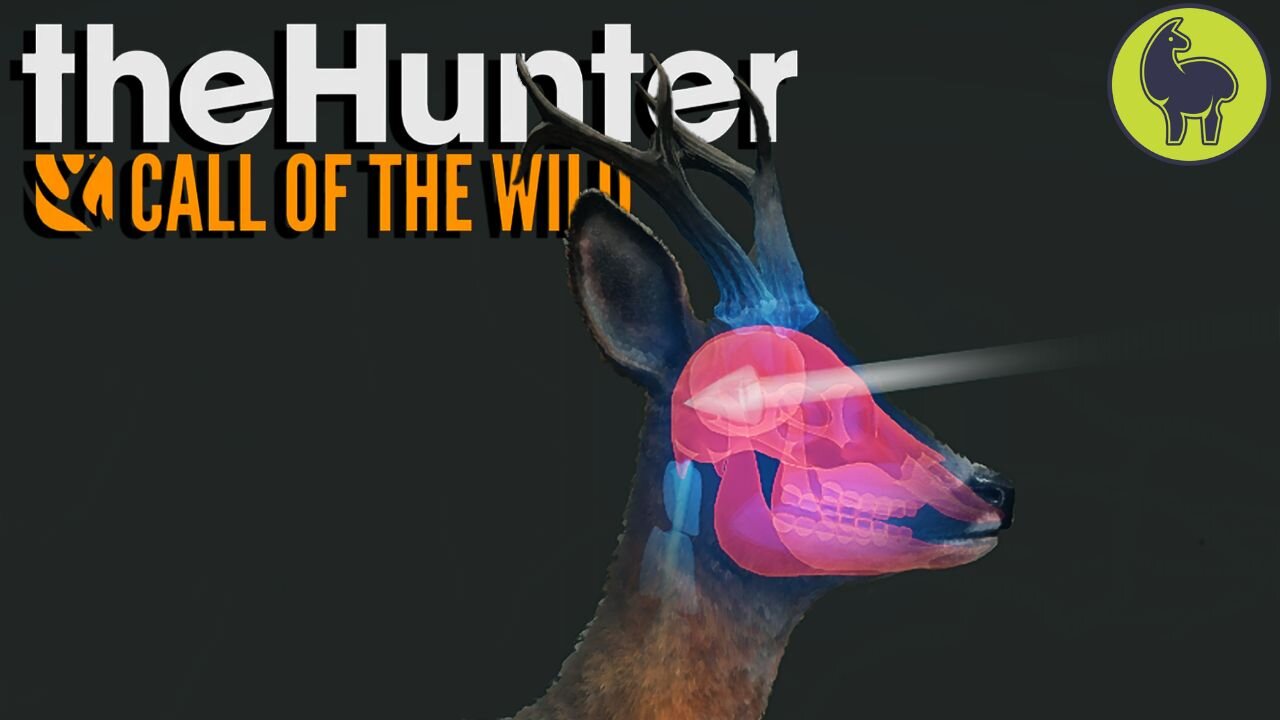 Ringing in the Roe Deer, Hunt Club Beta | theHunter: Call of the Wild (PS5 4K 60FPS)