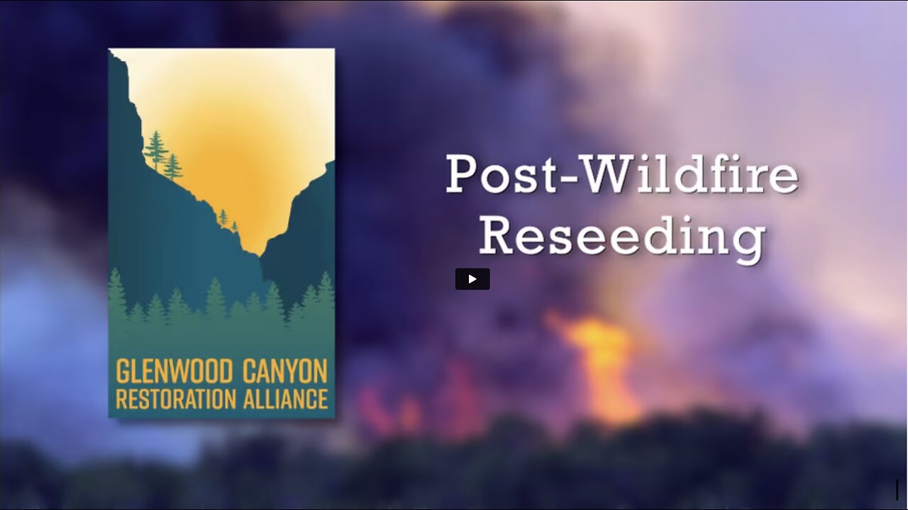 Glenwood Canyon Restoration Alliance: Wildfire Reseeding