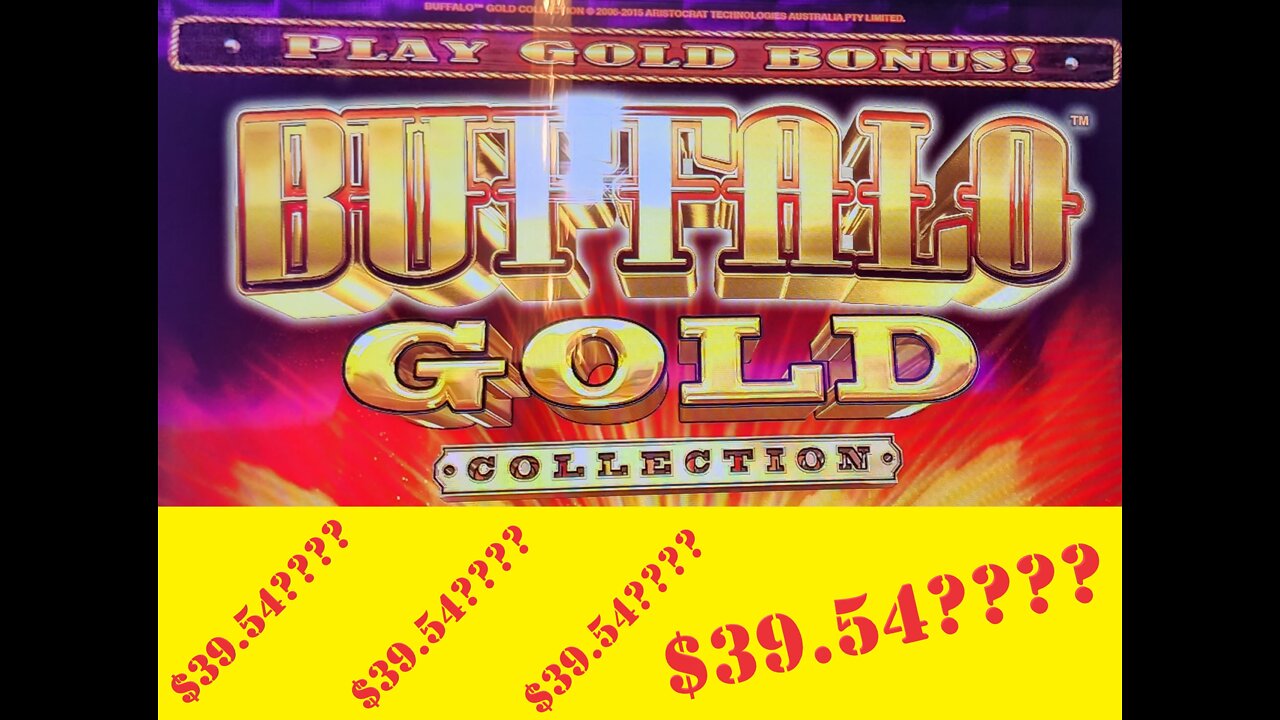 $39.54 win on Buffalo Gold Collection at Easy Street Casino in Central City, Colorado