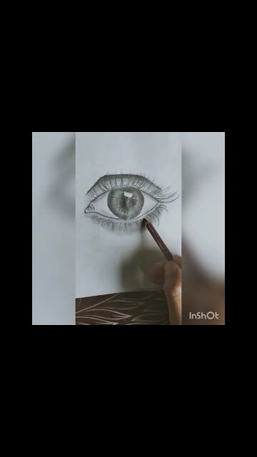 3D Eye Sketch