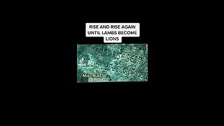 Rise and Rise Again Until a lambs Become Lions