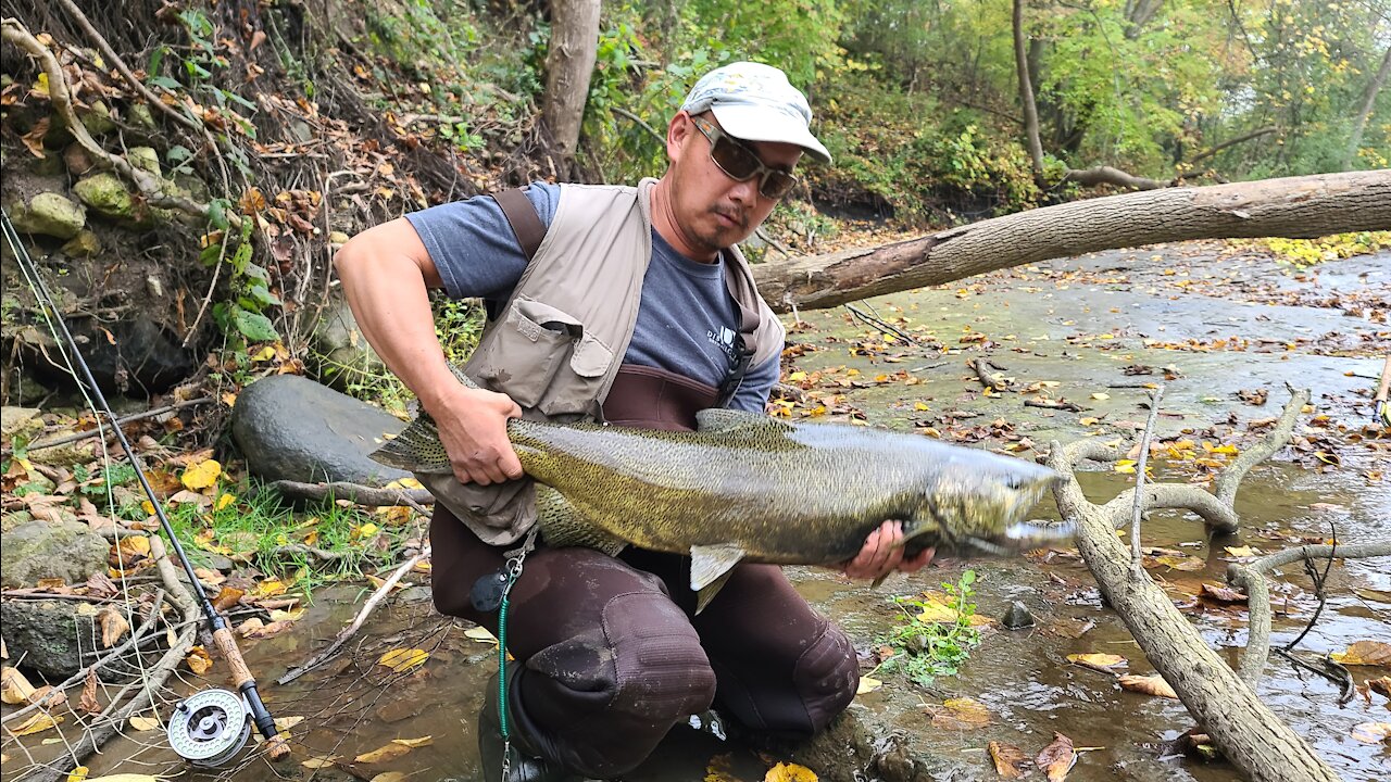 Milwaukee River Salmon Fishing Fall 2021 (Short 1)