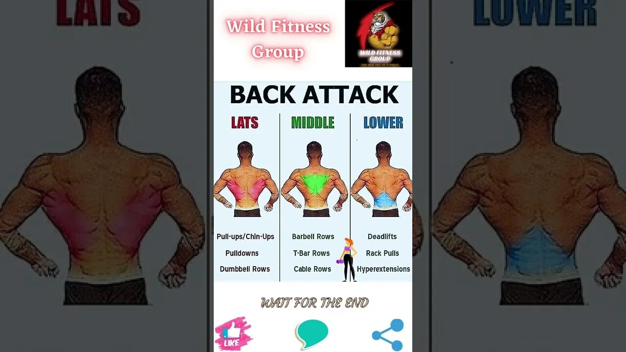 🔥Back exercises🔥#shorts🔥#wildfitnessgroup🔥17 July 2022🔥